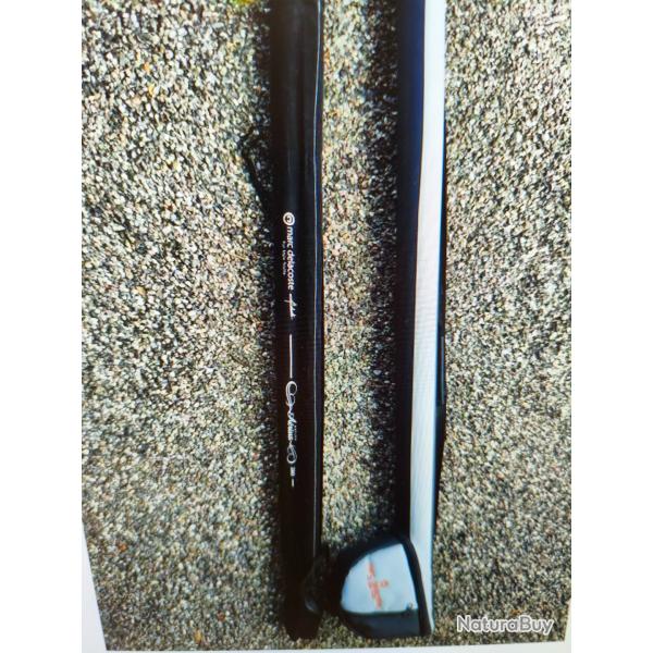 Canne  delacoste aerius 380