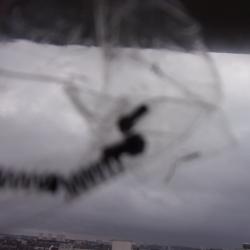 4 pièces de blocage du verrou de canon de Browning SA smokeless semi-auto .22