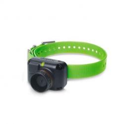 Collier supplémentaire beeper et dressage Dogtra 2600 T&B Vert
