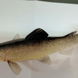 Leurre souple UniCat Trout BG 15cm 50g